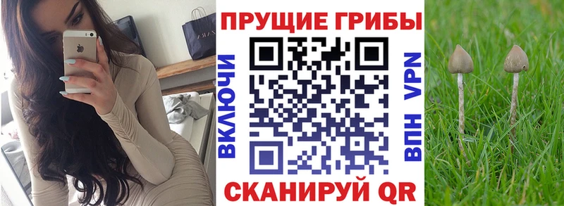 Псилоцибиновые грибы GOLDEN TEACHER  Яранск 